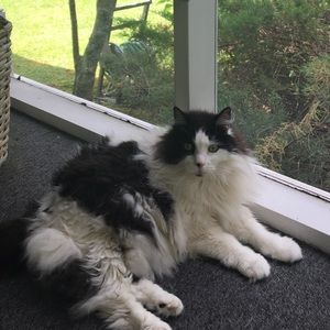 Meet your Posher, Caroline